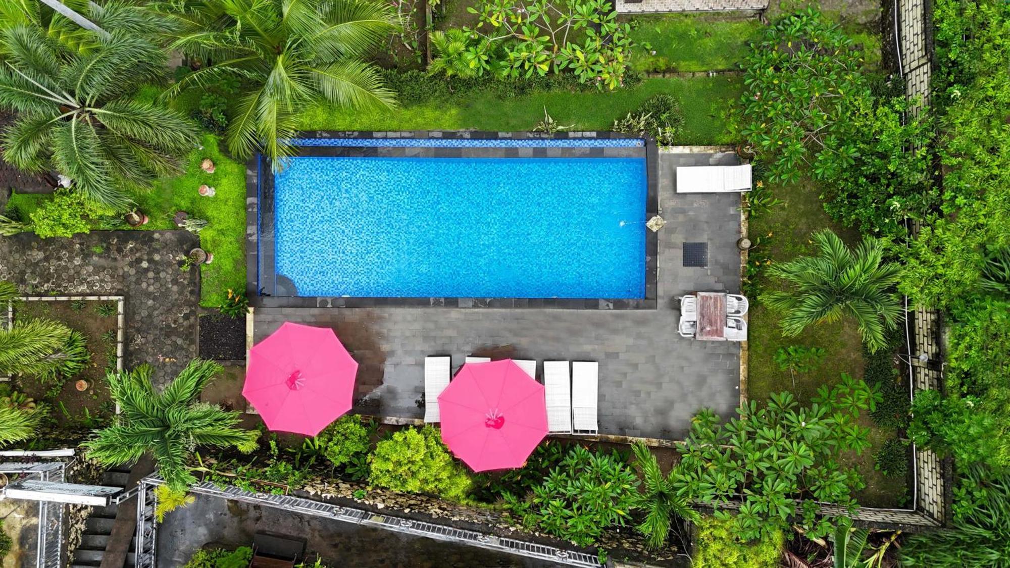 Coconut Hill Cottage Batununggul Ngoại thất bức ảnh