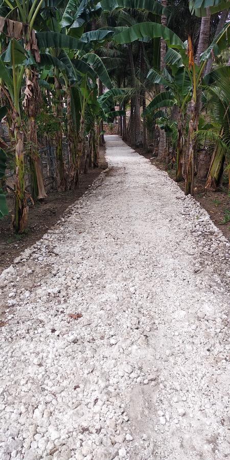 Coconut Hill Cottage Batununggul Ngoại thất bức ảnh